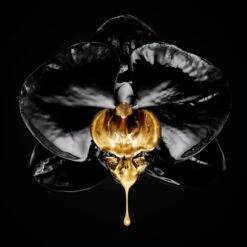 L'Oreal Volume Million Lashes 5 L'Oreal Volume Million Lashes -Maquillaje Cuidado Tienda 128000 5