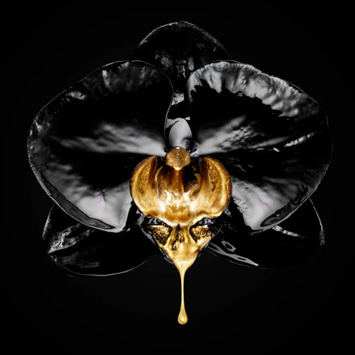 Volume Million Lashes L'Oreal Volume Million Lashes -Maquillaje Cuidado Tienda 128000 5