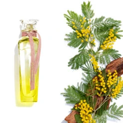 ADOLFO DOMINGUEZ Agua Fresca De Mimosa Coriandro -Maquillaje Cuidado Tienda 186312 4