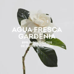 ADOLFO DOMINGUEZ Agua Fresca De Gardenia Musk -Maquillaje Cuidado Tienda 186313 4