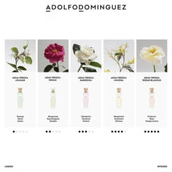 ADOLFO DOMINGUEZ Agua Fresca De Gardenia Musk -Maquillaje Cuidado Tienda 186313 5