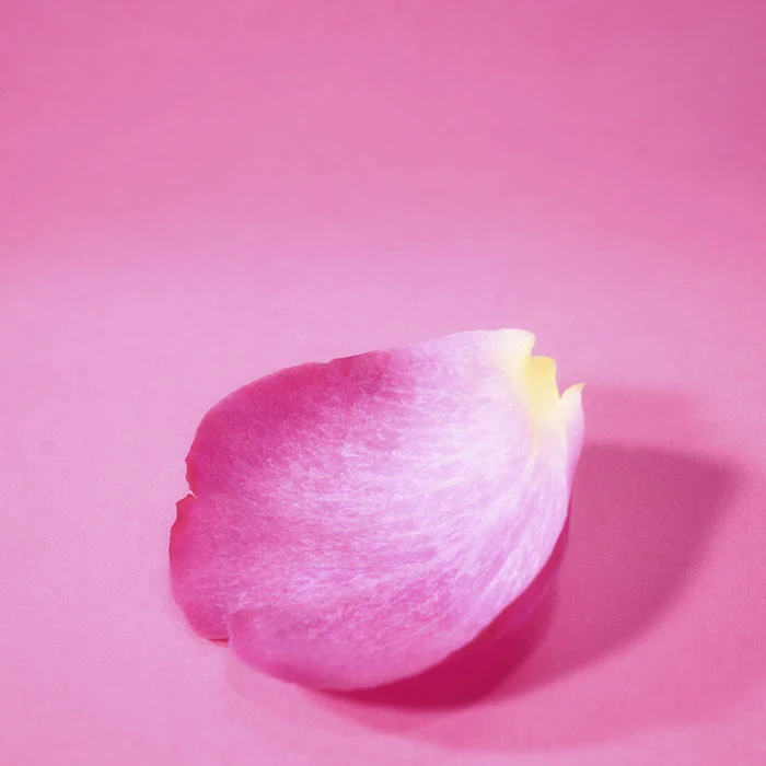 CANDY LOVE "Edición Limitada" Escada CANDY LOVE "Edición Limitada" -Maquillaje Cuidado Tienda 192799 4