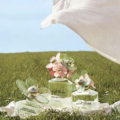 Marc Jacobs DAISY SPRING "Edición Limitada" -Maquillaje Cuidado Tienda 196529 5