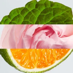 Lacoste L.12.12 Rose EDP -Maquillaje Cuidado Tienda 200775 6