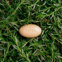 Payot Herbier Pain De Massage 4 Payot Herbier Pain De Massage -Maquillaje Cuidado Tienda 201204 4