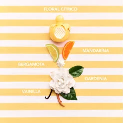 Nina Ricci Nina Soleil "Edición Limitada" 4 Nina Ricci Nina Soleil "Edición Limitada" -Maquillaje Cuidado Tienda 204559 4