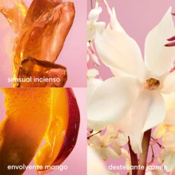 Paco Rabanne FAME Body Lotion -Maquillaje Cuidado Tienda 207547 4