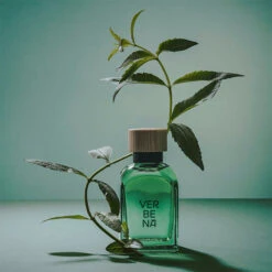 ADOLFO DOMINGUEZ Verbena Jengibre -Maquillaje Cuidado Tienda 211867 6